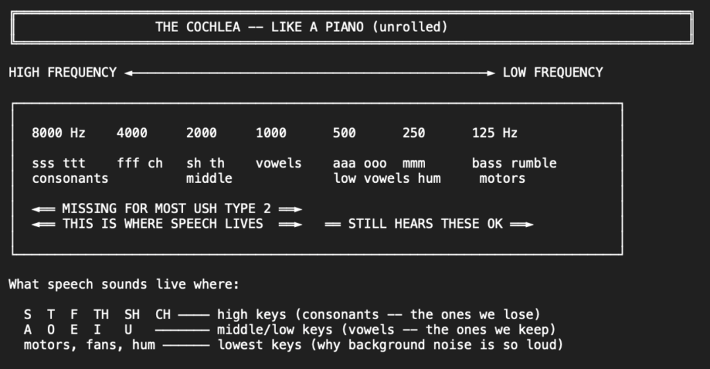 the cochlea chart